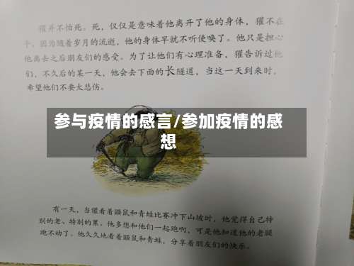 参与疫情的感言/参加疫情的感想