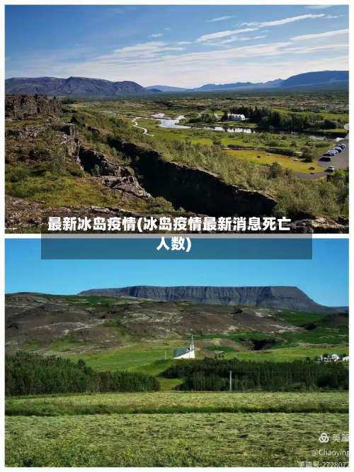 最新冰岛疫情(冰岛疫情最新消息死亡人数)-第2张图片