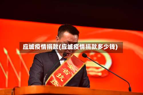 应城疫情捐款(应城疫情捐款多少钱)-第3张图片