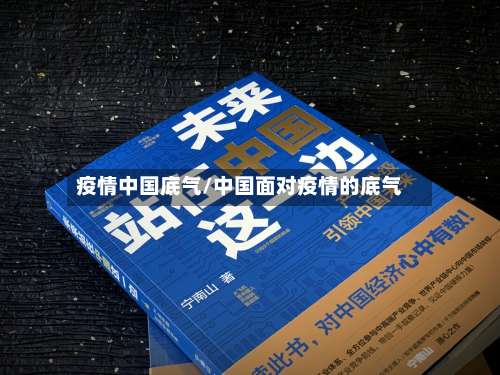 疫情中国底气/中国面对疫情的底气-第2张图片