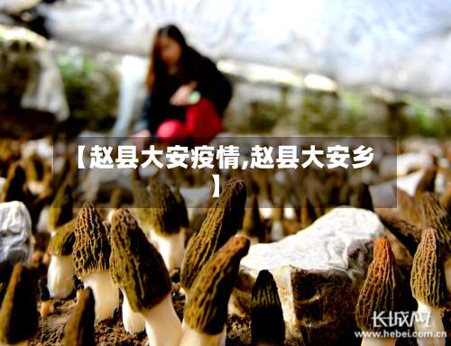 【赵县大安疫情,赵县大安乡】