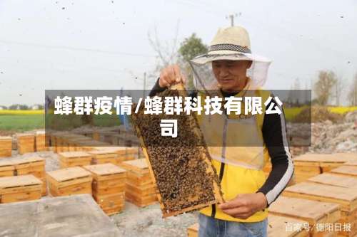 蜂群疫情/蜂群科技有限公司