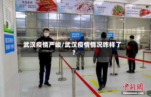 武汉疫情严峻/武汉疫情情况咋样了?