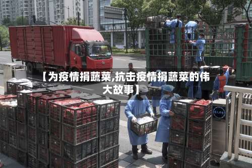 【为疫情捐蔬菜,抗击疫情捐蔬菜的伟大故事】-第2张图片