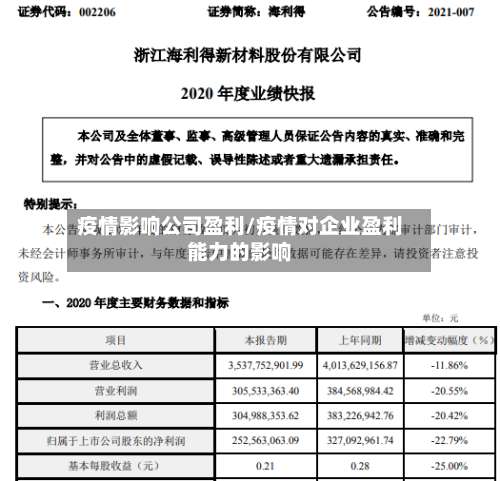 疫情影响公司盈利/疫情对企业盈利能力的影响