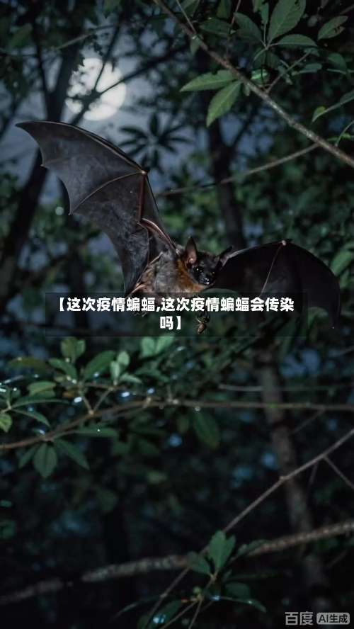 【这次疫情蝙蝠,这次疫情蝙蝠会传染吗】