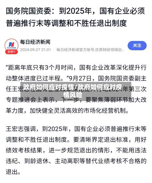 政府如何应对疫情/政府如何应对疫情风险-第2张图片