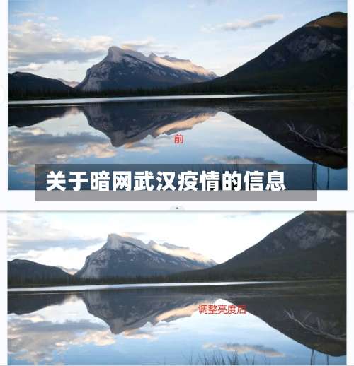 关于暗网武汉疫情的信息