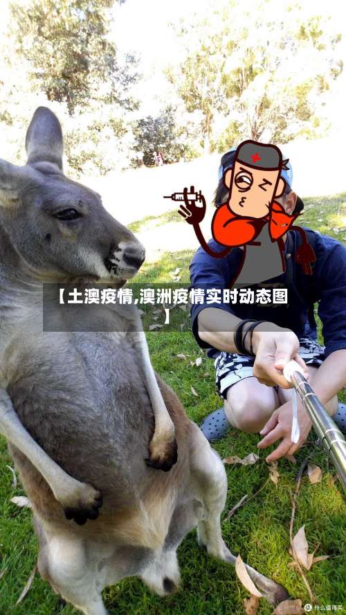 【土澳疫情,澳洲疫情实时动态图】-第3张图片