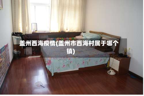盖州西海疫情(盖州市西海村属于哪个镇)