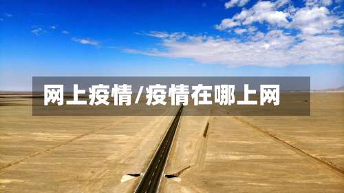 网上疫情/疫情在哪上网