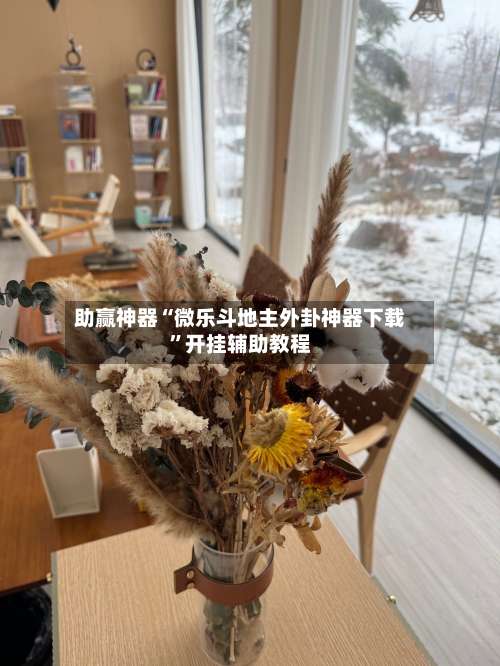 助赢神器“微乐斗地主外卦神器下载”开挂辅助教程-第3张图片