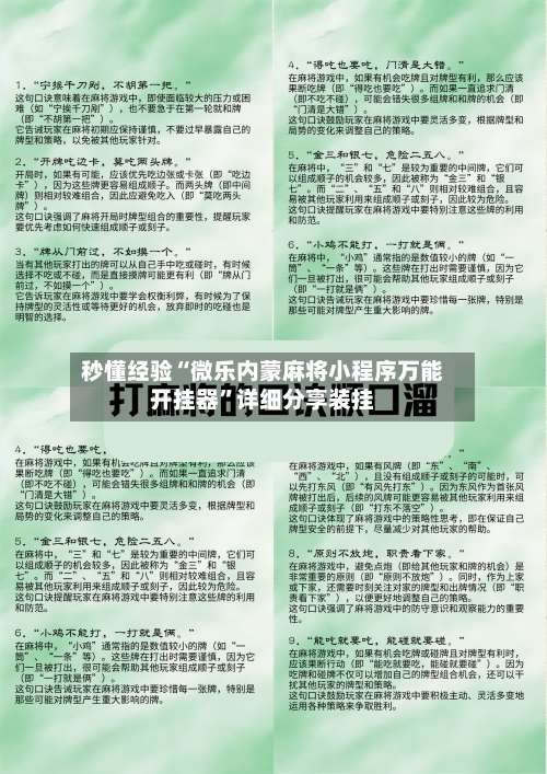 秒懂经验“微乐内蒙麻将小程序万能开挂器”详细分享装挂-第2张图片