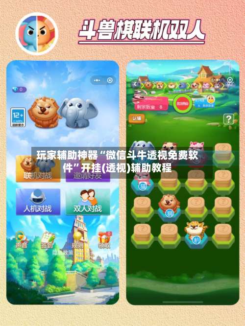 玩家辅助神器“微信斗牛透视免费软件”开挂(透视)辅助教程-第3张图片