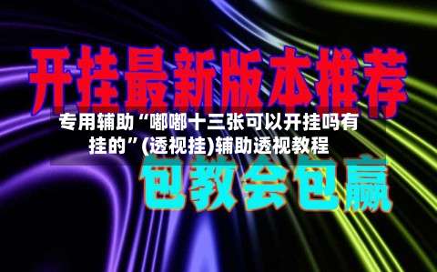 专用辅助“嘟嘟十三张可以开挂吗有挂的	”(透视挂)辅助透视教程-第2张图片