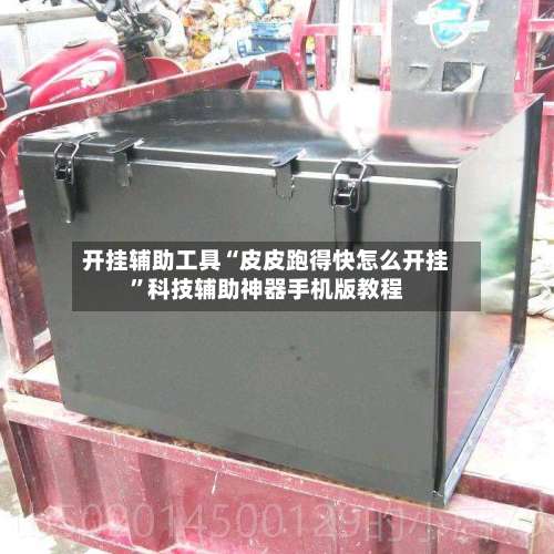 开挂辅助工具“皮皮跑得快怎么开挂”科技辅助神器手机版教程-第2张图片