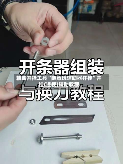 辅助开挂工具“随意玩辅助器开挂”开挂(透视)辅助教程-第2张图片