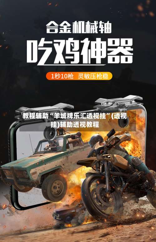 教程辅助“羊城牌乐汇透视挂”(透视挂)辅助透视教程-第3张图片