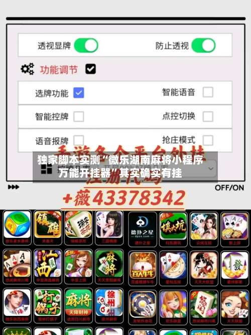 独家脚本实测“微乐湖南麻将小程序万能开挂器”其实确实有挂-第2张图片