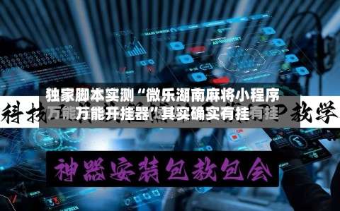 独家脚本实测“微乐湖南麻将小程序万能开挂器”其实确实有挂-第3张图片