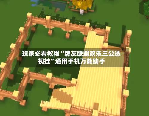 玩家必看教程“牌友联盟欢乐三公透视挂	”通用手机万能助手-第2张图片