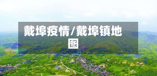 戴埠疫情/戴埠镇地图-第3张图片