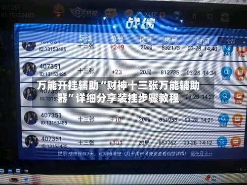 万能开挂辅助“财神十三张万能辅助器”详细分享装挂步骤教程-第2张图片