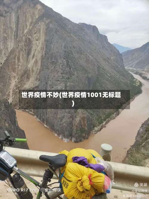 世界疫情不妙(世界疫情1001无标题)