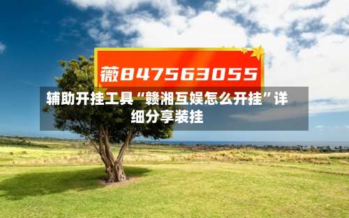 辅助开挂工具“赣湘互娱怎么开挂”详细分享装挂-第2张图片