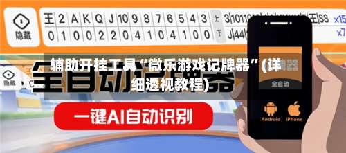 辅助开挂工具“微乐游戏记牌器”(详细透视教程)-第2张图片