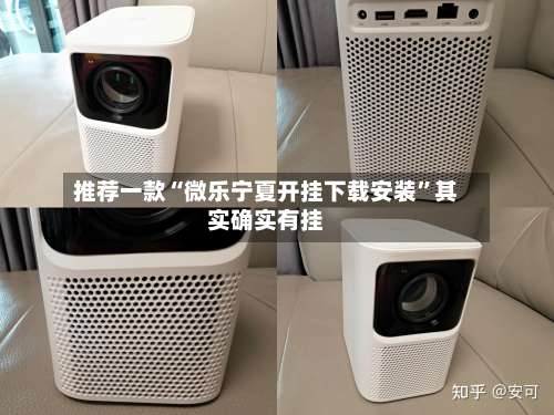 推荐一款“微乐宁夏开挂下载安装”其实确实有挂-第2张图片