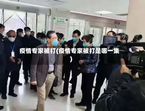 疫情专家被打(疫情专家被打是哪一集)