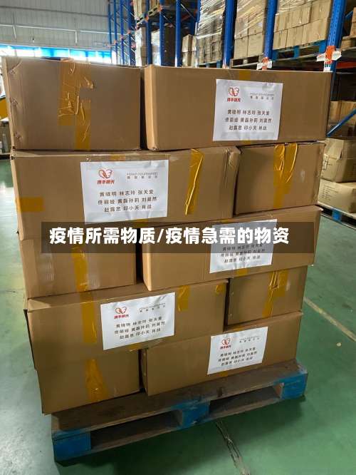疫情所需物质/疫情急需的物资-第3张图片