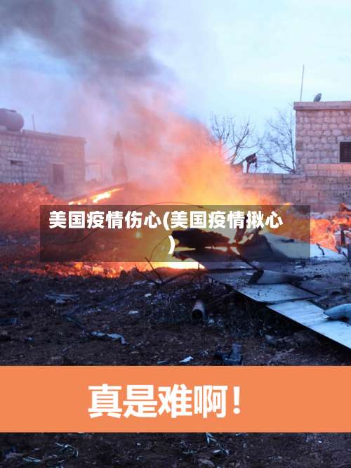 美国疫情伤心(美国疫情揪心)-第2张图片