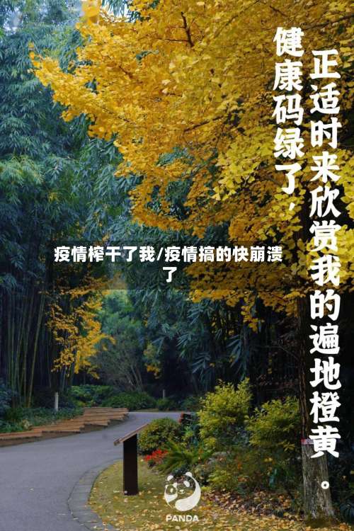 疫情榨干了我/疫情搞的快崩溃了-第3张图片