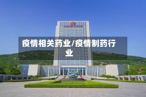 疫情相关药业/疫情制药行业-第2张图片
