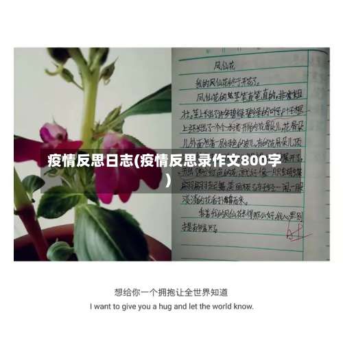 疫情反思日志(疫情反思录作文800字)