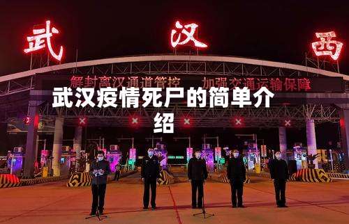 武汉疫情死尸的简单介绍-第3张图片