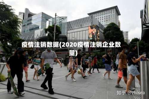 疫情注销数据(2020疫情注销企业数量)-第3张图片