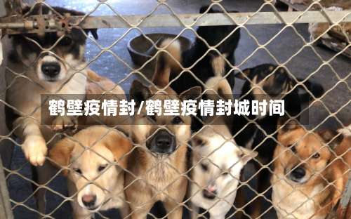 鹤壁疫情封/鹤壁疫情封城时间-第2张图片