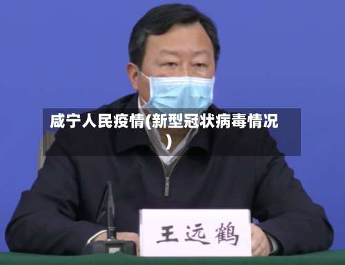 咸宁人民疫情(新型冠状病毒情况)
