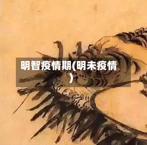 明智疫情期(明未疫情)-第2张图片