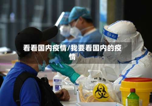 看看国内疫情/我要看国内的疫情