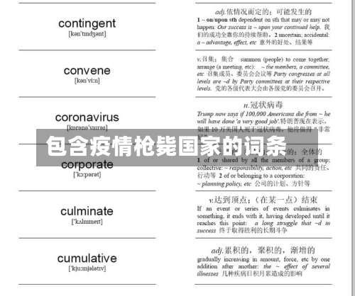 包含疫情枪毙国家的词条