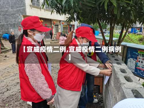 【宣威疫情二例,宣威疫情二例病例】