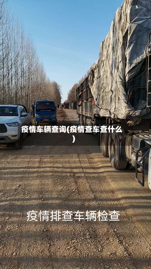 疫情车辆查询(疫情查车查什么)
