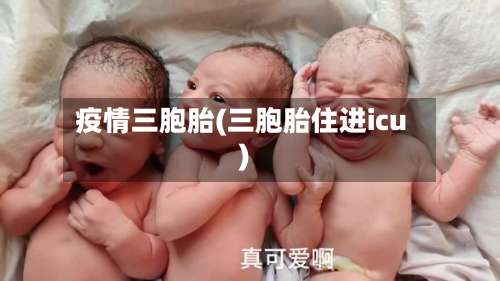疫情三胞胎(三胞胎住进icu)