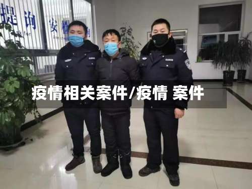 疫情相关案件/疫情 案件
