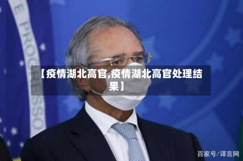 【疫情湖北高官,疫情湖北高官处理结果】