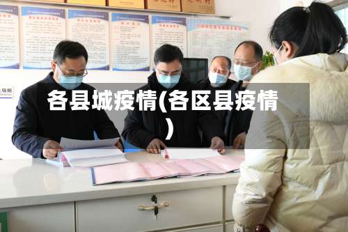 各县城疫情(各区县疫情)-第3张图片